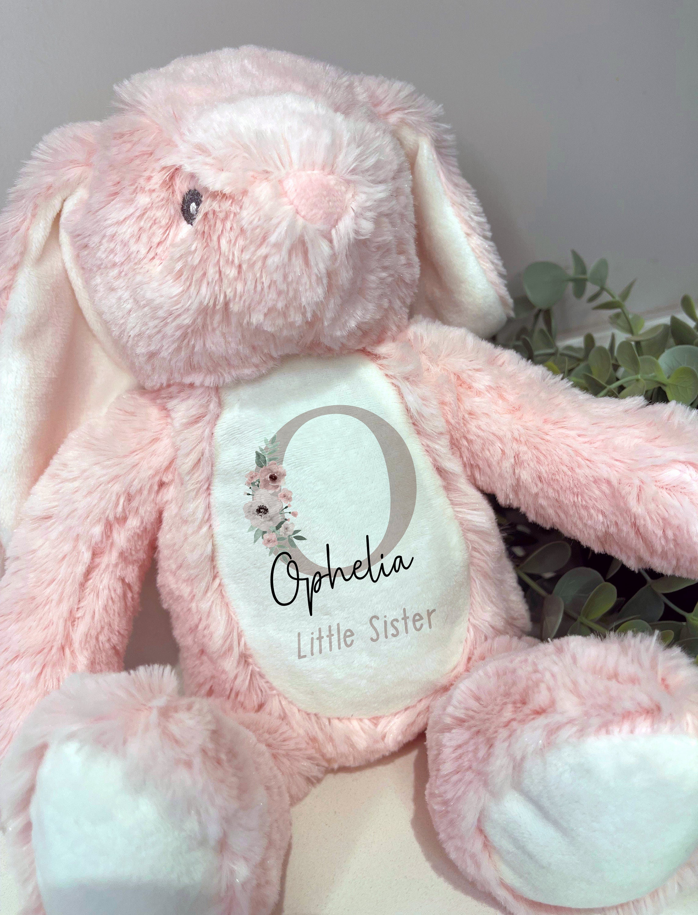 Personalised Big Sister & Little Sister Soft Toy Gift