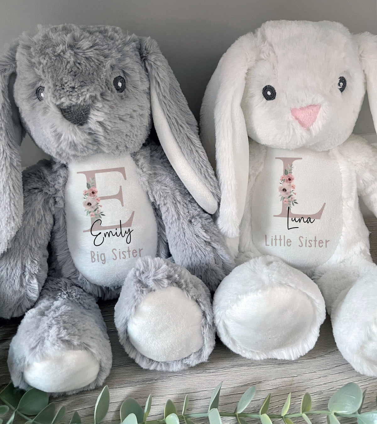 Personalised Big Sister & Little Sister Soft Toy Gift