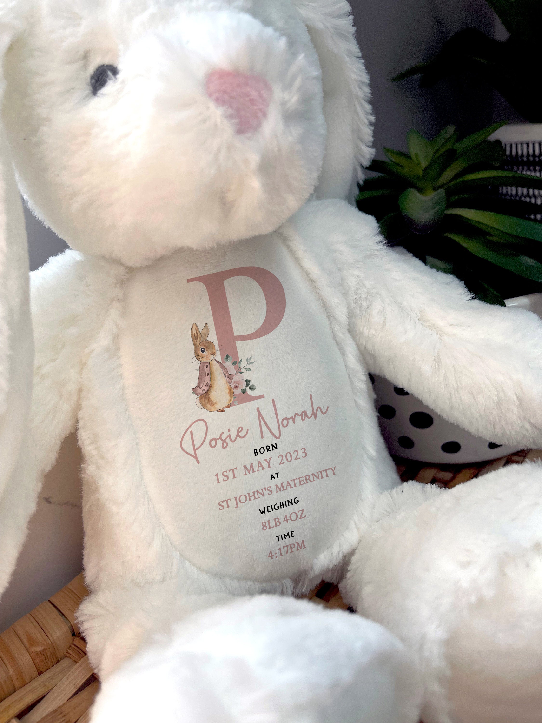 Personalised New Baby Soft Toy
